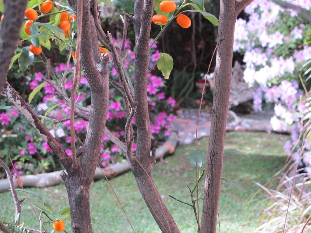 La Casona De Grace Olivos Exterior foto
